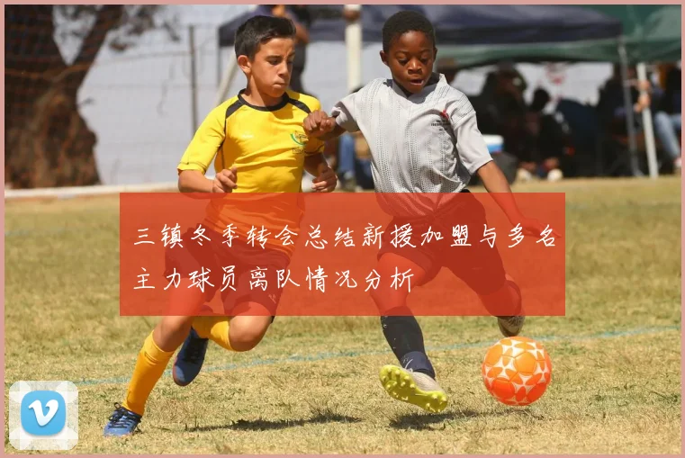 三镇冬季转会总结新援加盟与多名主力球员离队情况分析