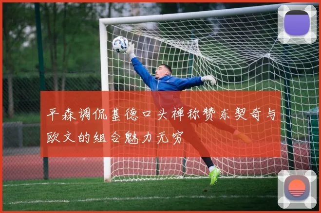 平森调侃基德口头禅称赞东契奇与欧文的组合魅力无穷