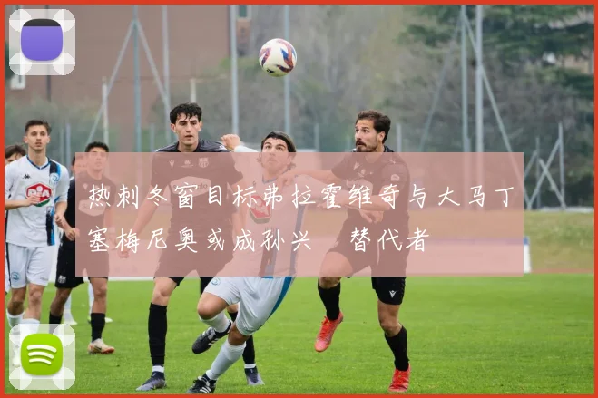 热刺冬窗目标弗拉霍维奇与大马丁塞梅尼奥或成孙兴慜替代者