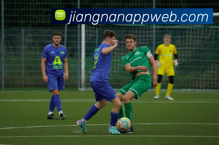 多媒体互动体验